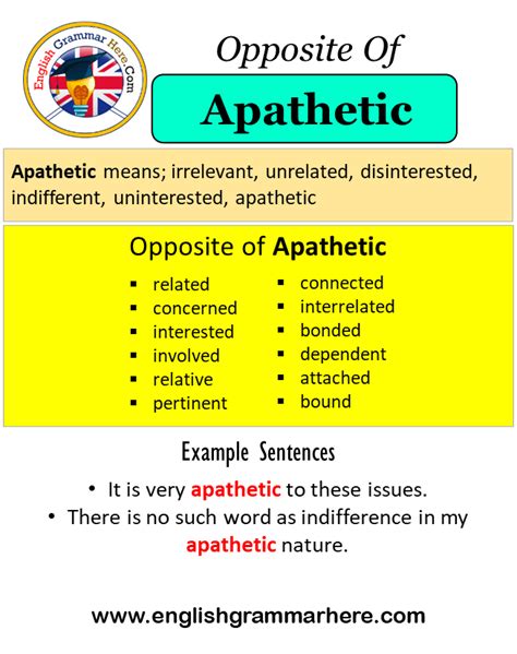 antonyms for apathetic|opposite of apathetic words.